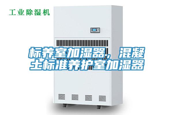 標(biāo)養(yǎng)室加濕器，混凝土標(biāo)準(zhǔn)養(yǎng)護(hù)室加濕器