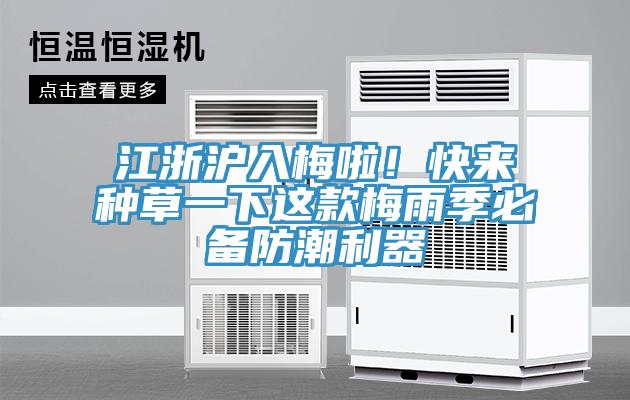 江浙滬入梅啦!快來種草一下這款梅雨季必備防潮利器