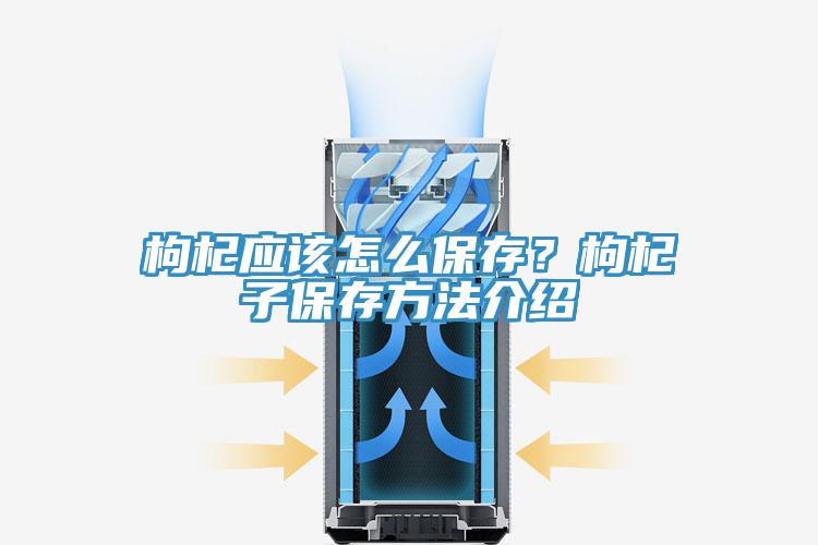 枸杞應(yīng)該怎么保存？枸杞子保存方法介紹