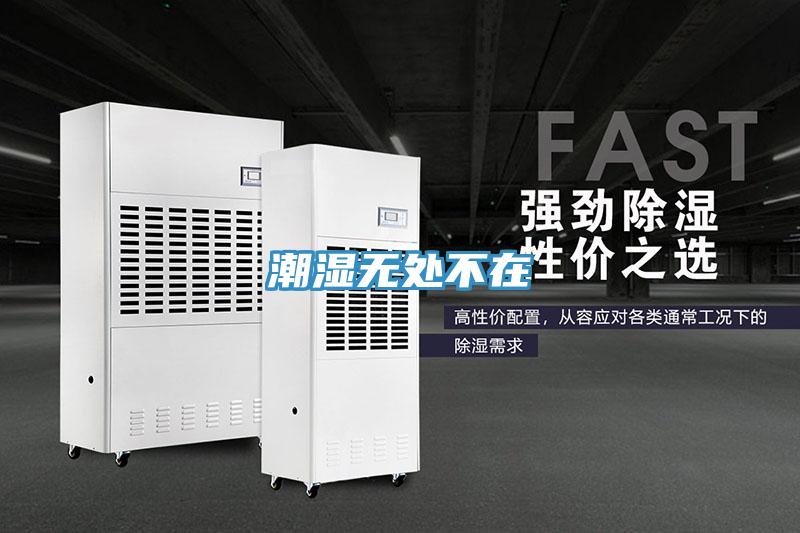 潮濕無(wú)處不在