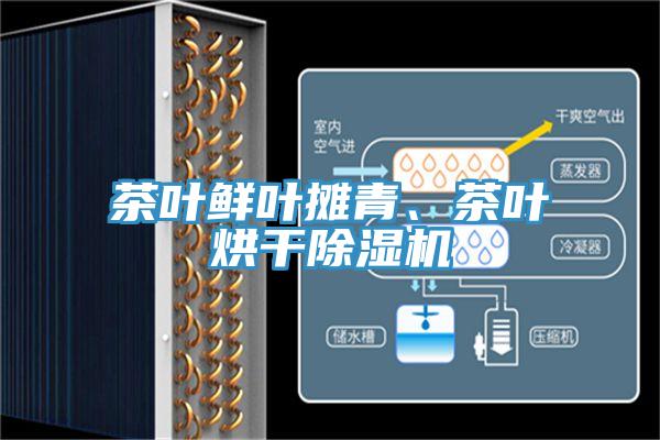 茶葉鮮葉攤青、茶葉烘干除濕機