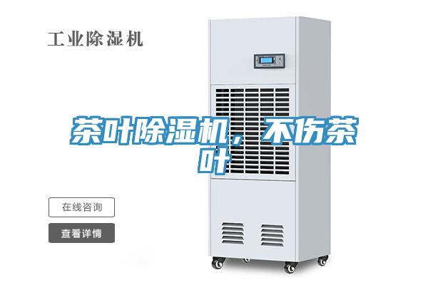 茶葉除濕機，不傷茶葉
