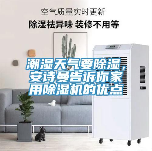 潮濕天氣要除濕，安詩曼告訴你家用除濕機(jī)的優(yōu)點(diǎn)