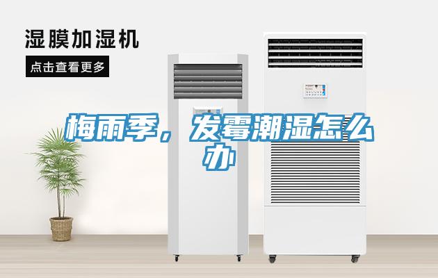 梅雨季，發(fā)霉潮濕怎么辦