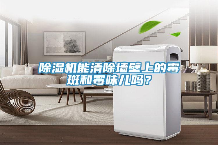 除濕機能清除墻壁上的霉斑和霉味兒嗎？