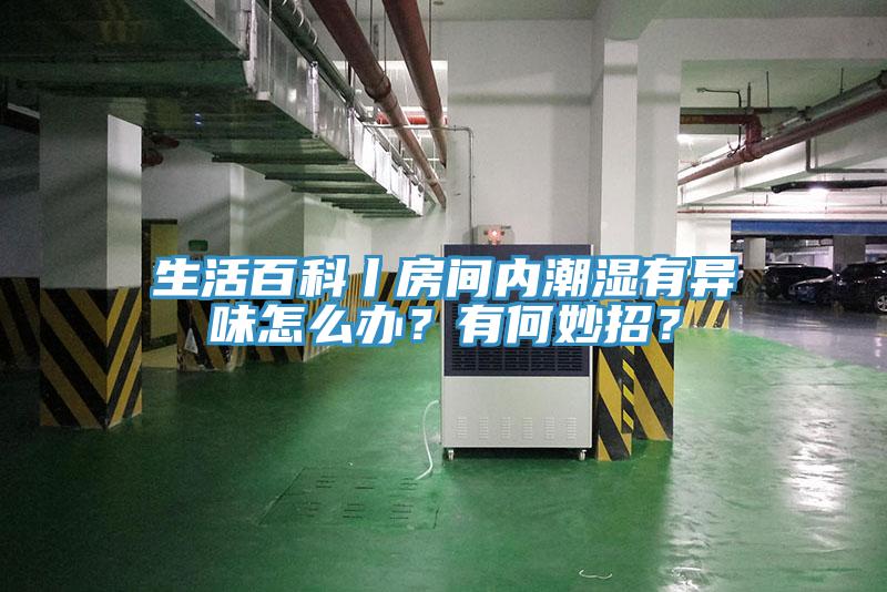 生活百科丨房間內(nèi)潮濕有異味怎么辦？有何妙招？