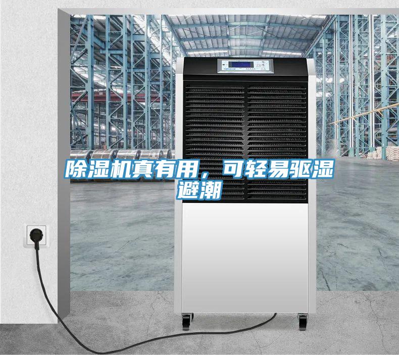 除濕機真有用，可輕易驅濕避潮