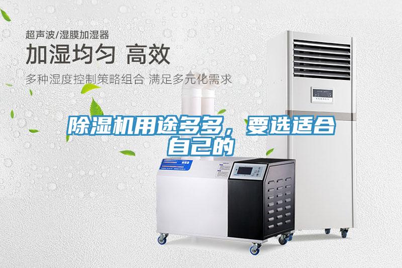 除濕機用途多多，要選適合自己的