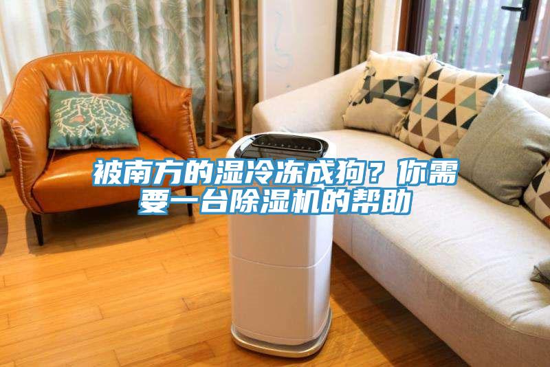 被南方的濕冷凍成狗？你需要一臺除濕機(jī)的幫助