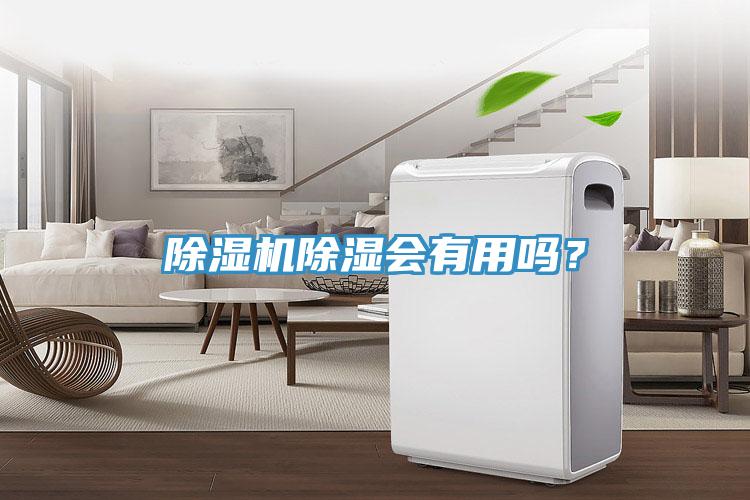除濕機(jī)除濕會(huì)有用嗎？