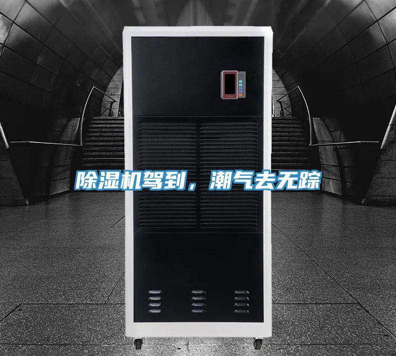 除濕機駕到，潮氣去無蹤