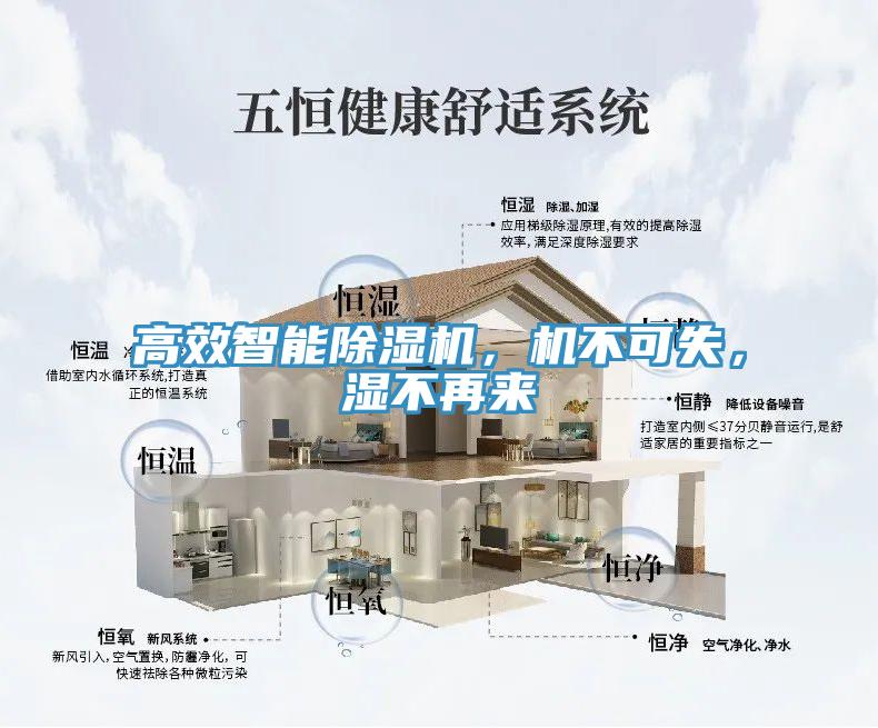 高效智能除濕機(jī)，機(jī)不可失，濕不再來