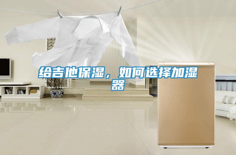 給吉他保濕，如何選擇加濕器