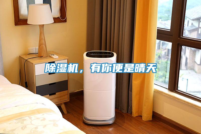 除濕機，有你便是晴天