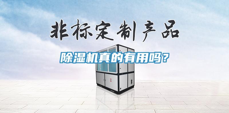 除濕機(jī)真的有用嗎？