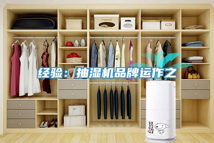 經驗:抽濕機品牌運作之
