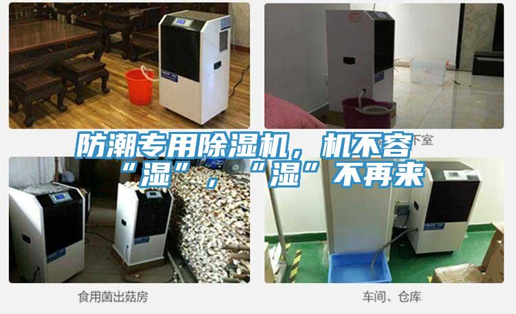 防潮專(zhuān)用除濕機(jī)，機(jī)不容“濕”，“濕”不再來(lái)