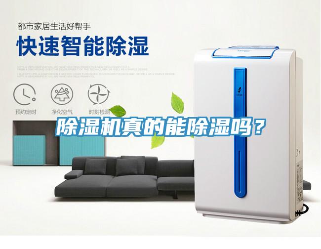 除濕機(jī)真的能除濕嗎？