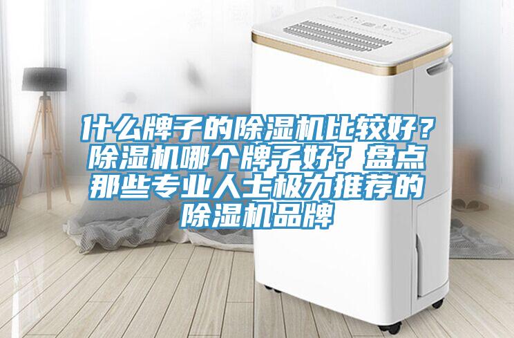 什么牌子的除濕機比較好？除濕機哪個牌子好？盤點那些專業(yè)人士極力推薦的除濕機品牌