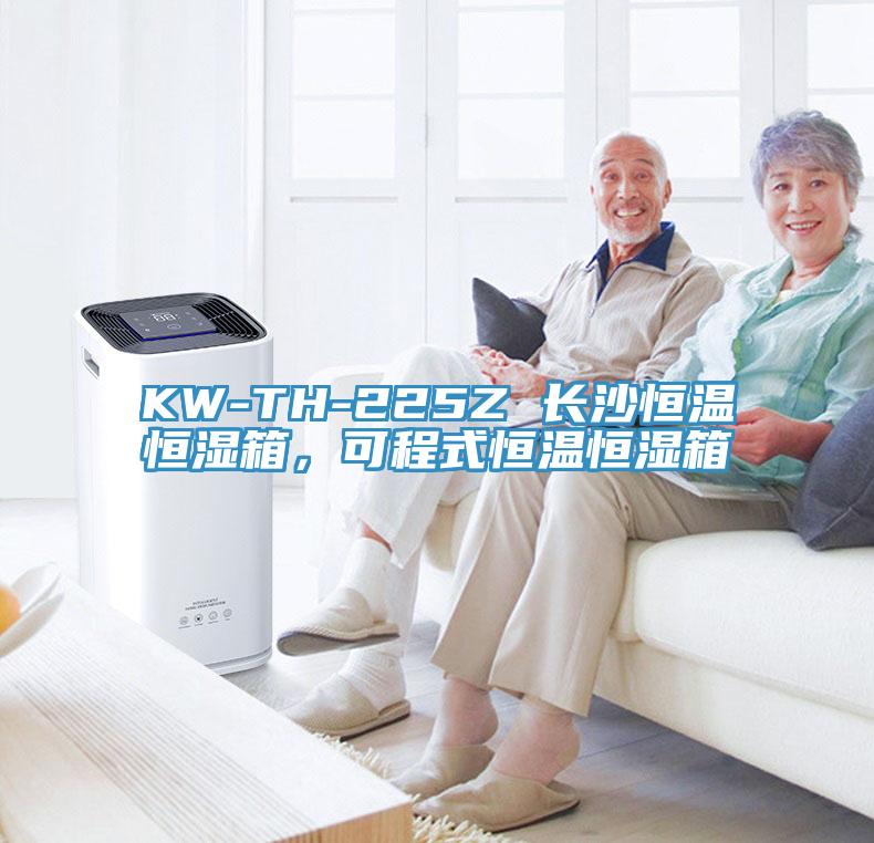 KW-TH-225Z 長沙恒溫恒濕箱，可程式恒溫恒濕箱