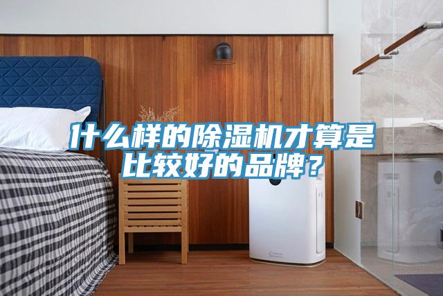 什么樣的除濕機才算是比較好的品牌？