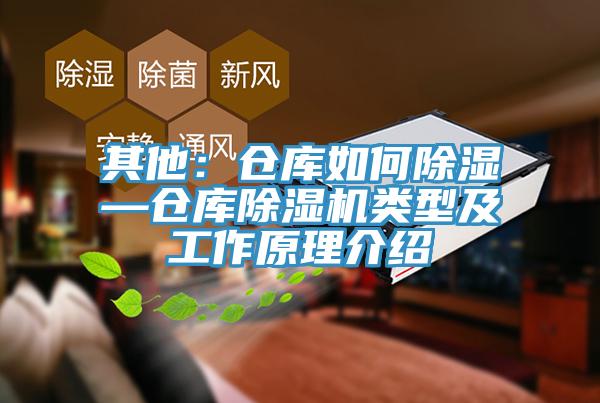 其他：倉(cāng)庫(kù)如何除濕—倉(cāng)庫(kù)除濕機(jī)類(lèi)型及工作原理介紹