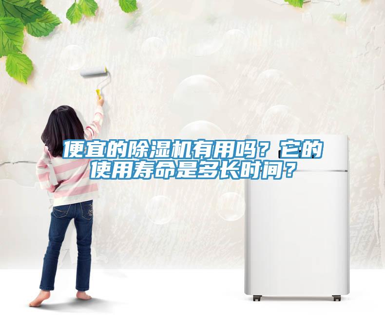 便宜的除濕機(jī)有用嗎？它的使用壽命是多長時(shí)間？