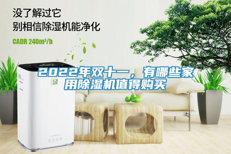 2022年雙十一，有哪些家用除濕機值得購買