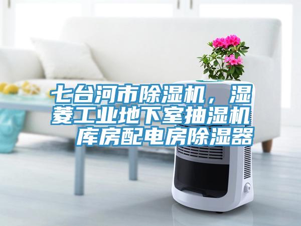七臺河市除濕機(jī)，濕菱工業(yè)地下室抽濕機(jī)  庫房配電房除濕器