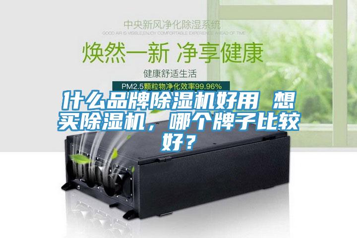 什么品牌除濕機好用 想買除濕機，哪個牌子比較好？