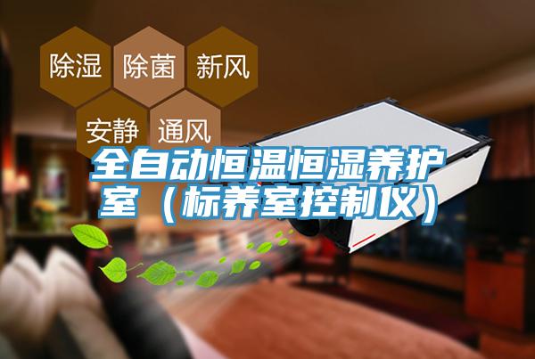 全自動恒溫恒濕養(yǎng)護(hù)室（標(biāo)養(yǎng)室控制儀）