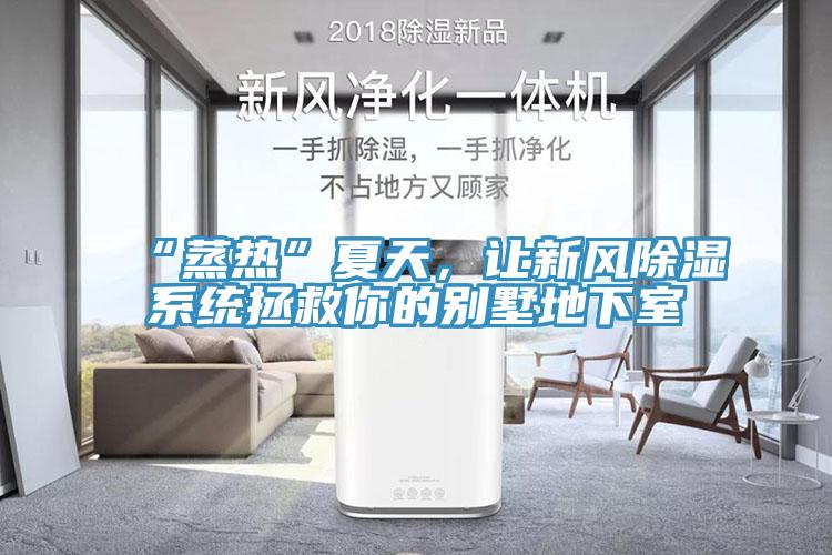 “蒸熱”夏天，讓新風(fēng)除濕系統(tǒng)拯救你的別墅地下室