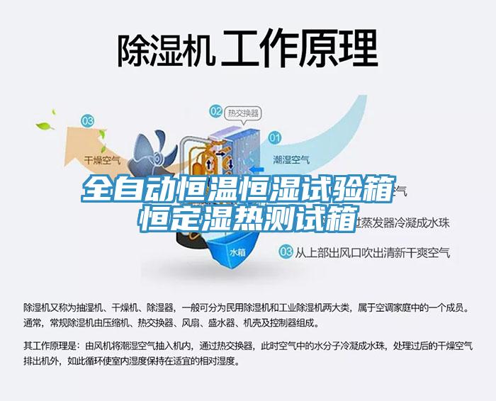 全自動恒溫恒濕試驗(yàn)箱 恒定濕熱測試箱