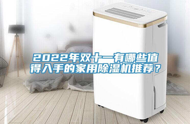 2022年雙十一有哪些值得入手的家用除濕機推薦？