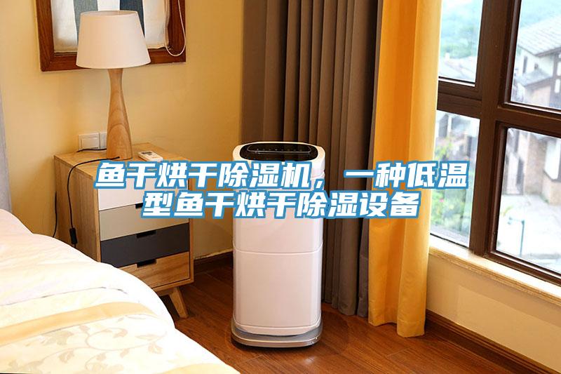 魚干烘干除濕機(jī)，一種低溫型魚干烘干除濕設(shè)備