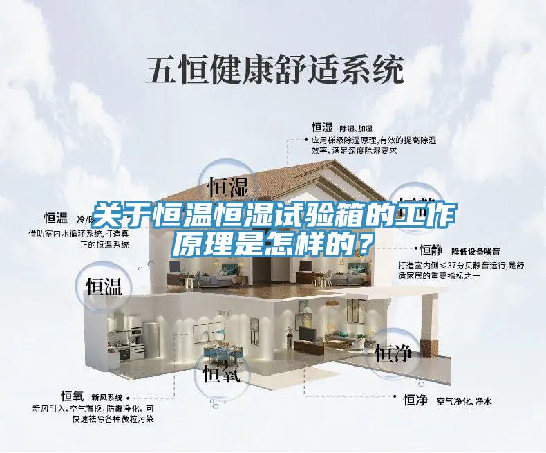關于恒溫恒濕試驗箱的工作原理是怎樣的？