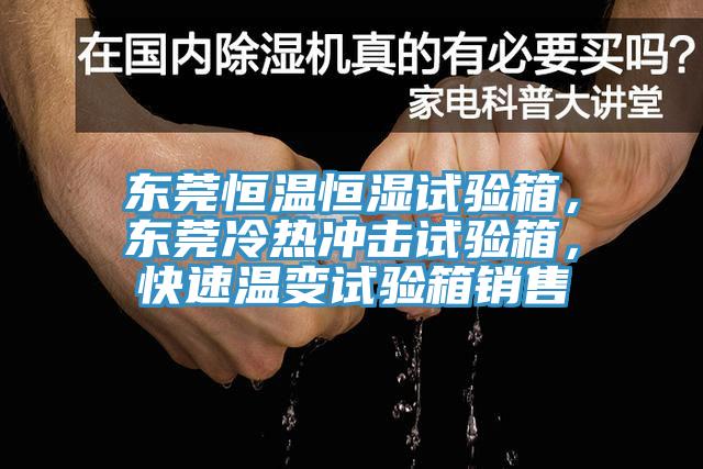 東莞恒溫恒濕試驗(yàn)箱，東莞冷熱沖擊試驗(yàn)箱，快速溫變?cè)囼?yàn)箱銷售