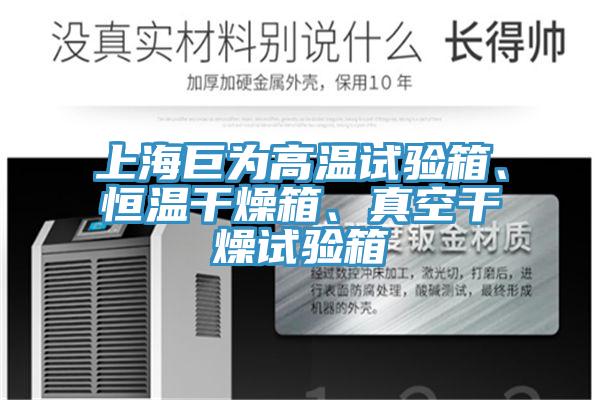 上海巨為高溫試驗箱、恒溫干燥箱、真空干燥試驗箱