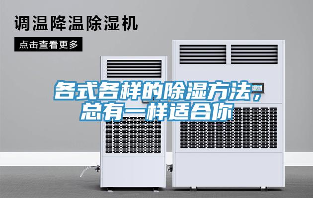 各式各樣的除濕方法，總有一樣適合你