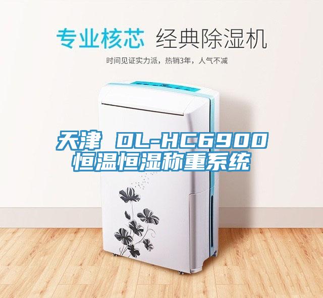 天津 DL-HC6900恒溫恒濕稱(chēng)重系統(tǒng)