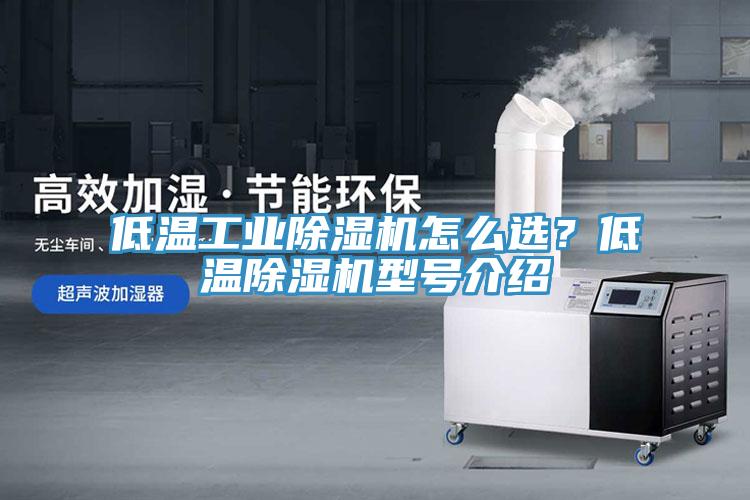 低溫工業除濕機怎么選？低溫除濕機型號介紹