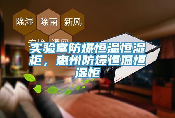 實(shí)驗(yàn)室防爆恒溫恒濕柜，惠州防爆恒溫恒濕柜