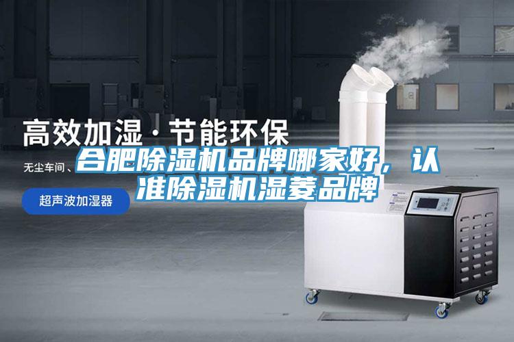 合肥除濕機品牌哪家好，認準除濕機濕菱品牌