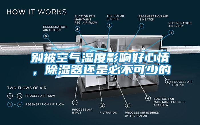 別被空氣濕度影響好心情，除濕器還是必不可少的
