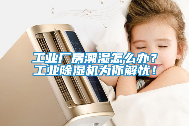 工業廠房潮濕怎么辦?工業除濕機為你解憂!