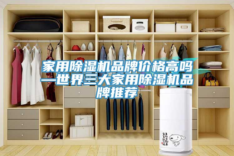 家用除濕機(jī)品牌價格高嗎—世界三大家用除濕機(jī)品牌推薦
