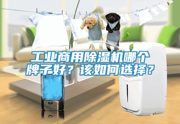 工業(yè)商用除濕機(jī)哪個(gè)牌子好?該如何選擇?