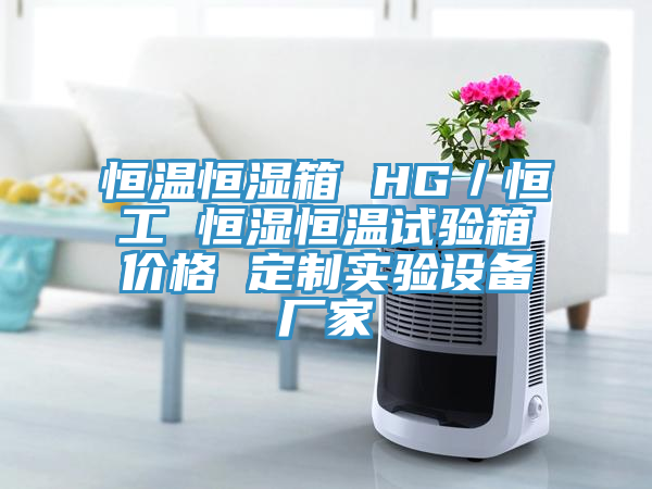 恒溫恒濕箱 HG／恒工 恒濕恒溫試驗箱價格 定制實(shí)驗設(shè)備廠家