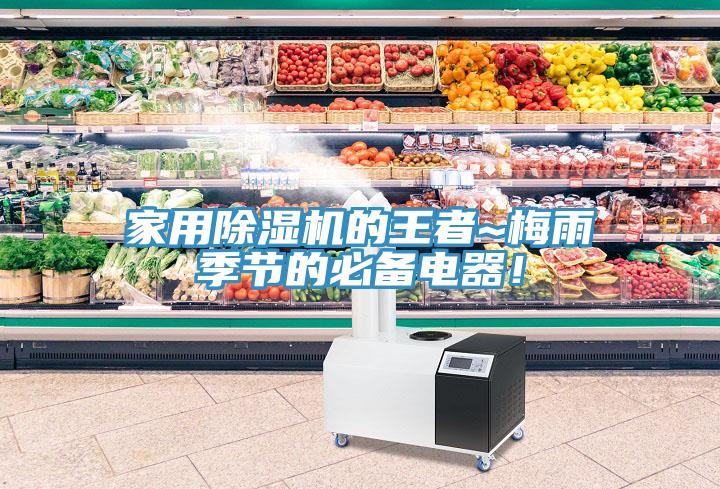 家用除濕機的王者~梅雨季節的必備電器！