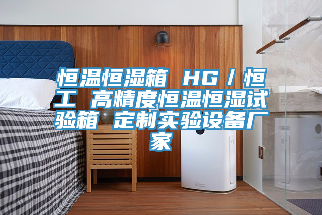 恒溫恒濕箱 HG／恒工 高精度恒溫恒濕試驗箱 定制實(shí)驗設(shè)備廠家